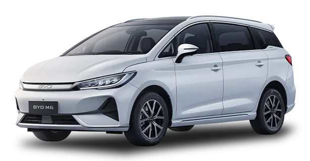 BYD M6